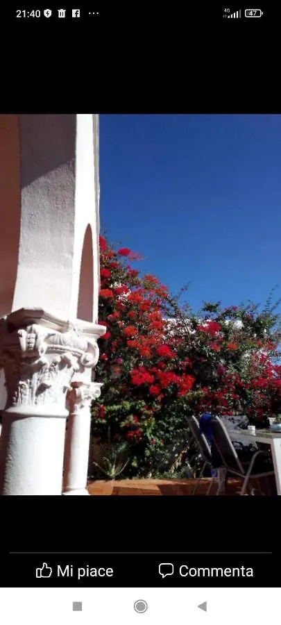Bed and Breakfast Ocean House Granadilla De Abona España
